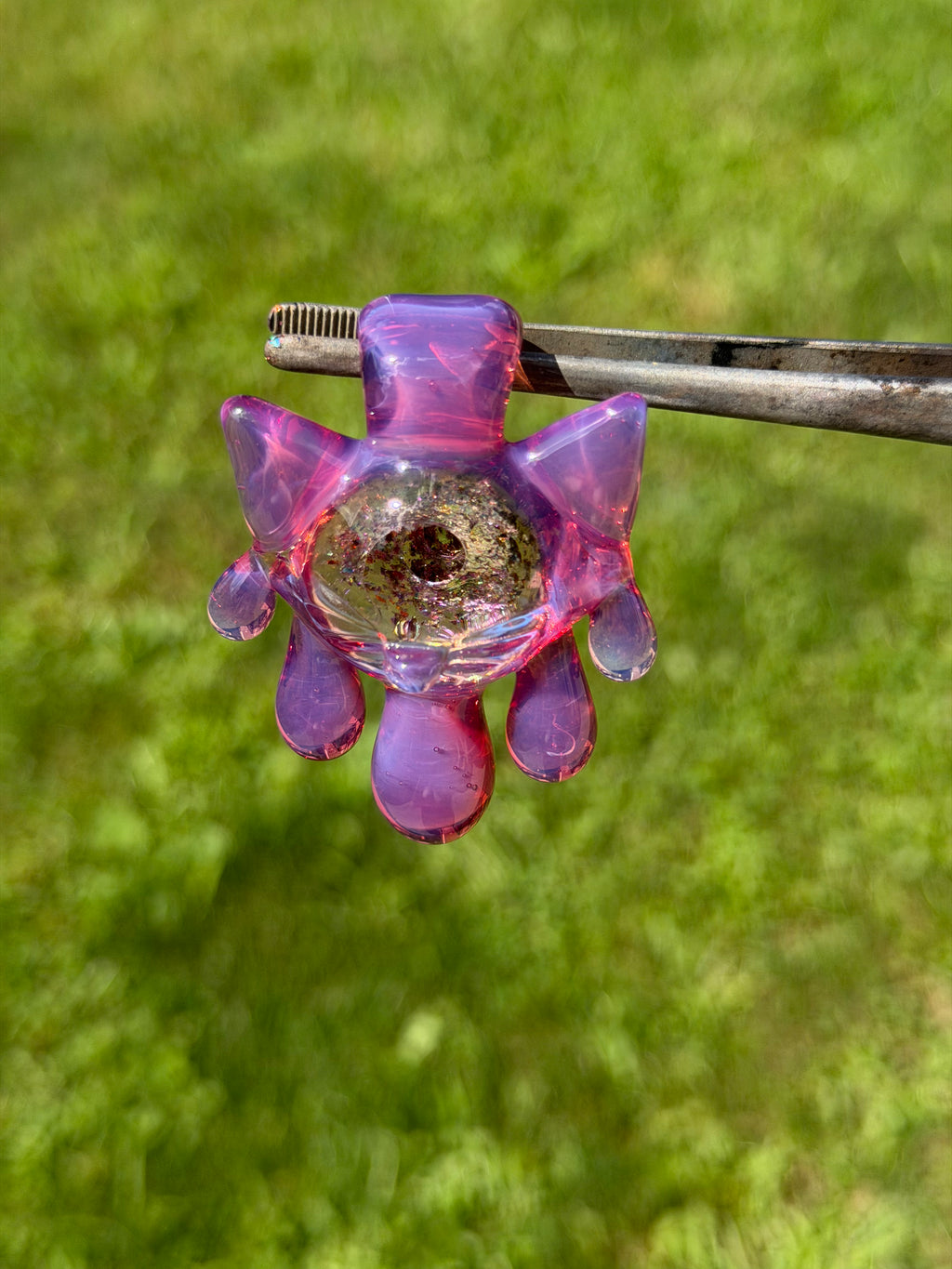 5 drip karma kitty